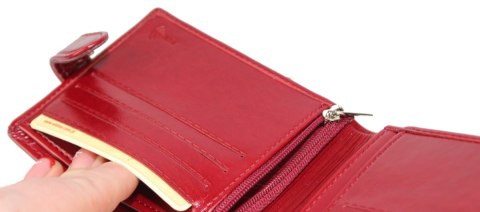 Etui Na Dokumenty WILMAR (PL) Poziome Z Zapięciem Z Miejscem Na Gotówkę Pionowy Suwak RFID 9,5 x 12 x 1,5 [cm]