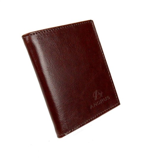 Etui Na Karty Dokumenty ANDRUS (PL) Małe 2 Wizytownik Pionowy Skóra Naturalna RIFD 10 x 9 [cm]