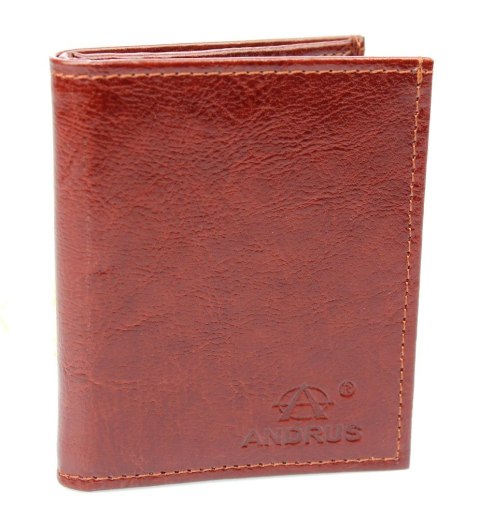 Etui Na Karty Dokumenty ANDRUS (PL) Małe 2 Wizytownik Pionowy Skóra Naturalna RIFD 10 x 9 [cm]