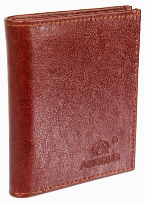 Etui Na Karty Dokumenty ANDRUS (PL) Małe 2 Wizytownik Pionowy Skóra Naturalna RIFD 10 x 9 [cm]