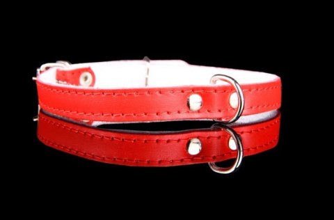 Obroża Dla Psa Ze Skóry Naturalnej ZOO LESZCZ (PL) 12 mm 27-33 [cm] ZL152