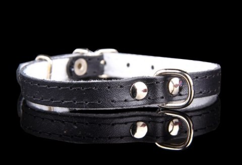 Obroża Dla Psa Ze Skóry Naturalnej ZOO LESZCZ (PL) 12 mm 27-33 [cm] ZL152