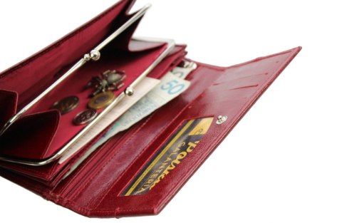 Portfel Damski ELKOR (PL) Długi 17cm Klamra Skóra Naturalna EL18 17 x 9 x 3,3 [cm]