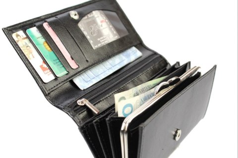 Portfel Damski ELKOR (PL) Długi Klamra Skóra Naturalna EL016B 17 x 9,5 x 2,5 [cm]