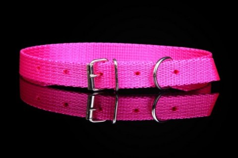 Solidna Obroża Dla Psa Taśma ZOO LESZCZ (PL) 10 mm 23-28 [cm] ZL063