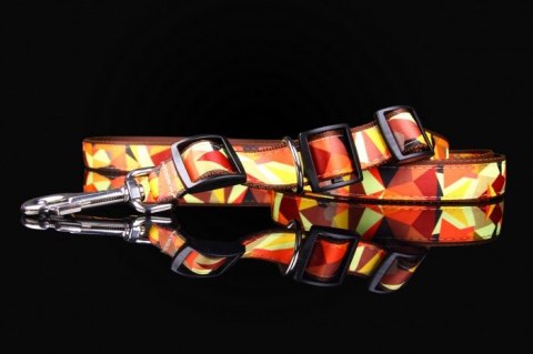 Solidna Regulowana Smycz Z Materiału Z Obrożą 2w1 ZOO LESZCZ (PL) 20 mm 220 [cm] ZL1807