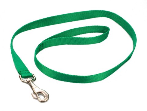 Solidna Smycz Z Materiału Taśma Dla Psa ZOO LESZCZ (PL) 25 mm 130 [cm] ZL013