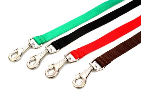 Solidna Smycz Z Materiału Taśma Dla Psa ZOO LESZCZ (PL) 25 mm 130 [cm] ZL013