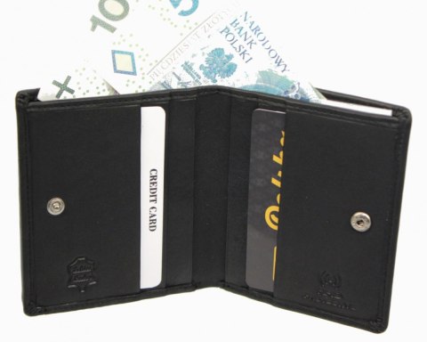 Portfel ALBATROSS (PL) Skóra Naturalna Licowa Mały Pionowy KOMIN PIEKIEŁKO RFID SN A3822 L 9 x 10 x 1,5 [cm]