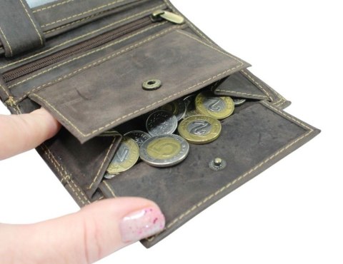 Portfel Męski Skórzany ALWAYS WILD Skóra Licowa Duży Pionowy Dwa Skrzydełka RFID N4-P-CHM 0990 BRĄZOWY 13 x 10 x 2 [cm]