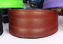 Regulowana Obroża Dla Charta Ze Skóry Naturalnej ZOO LESZCZ (PL) 29-34 [cm] ZLCH/500