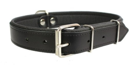 Solidna Obroża Dla Psa Skóra Naturalna 10 mm / 32 cm ZL0151 ZOO LESZCZ (PL) Solidna Obroża Dla Psa Skóra Naturalna 10 mm / 32 cm ZL0151 ZOO LESZCZ (PL)