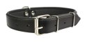 Solidna Obroża Dla Psa Skóra Naturalna 18 mm / 50 cm ZL0155 ZOO LESZCZ (PL)