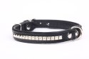 Solidna Obroża Dla Psa Skóra Naturalna Z Kostkami 20 mm / 52 cm ZL0176/1 ZOO LESZCZ (PL)