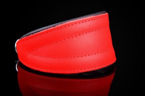 Regulowana Obroża Dla Charta Ze Skóry Naturalnej ZOO LESZCZ (PL) 35-40 [cm] ZLCH/501