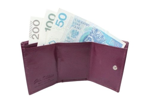 Portfel Skórzany Peterson Skóra Licowa Mały Poziomy - Sakiewka PTN-86 9 x 7 x 2 [cm] 